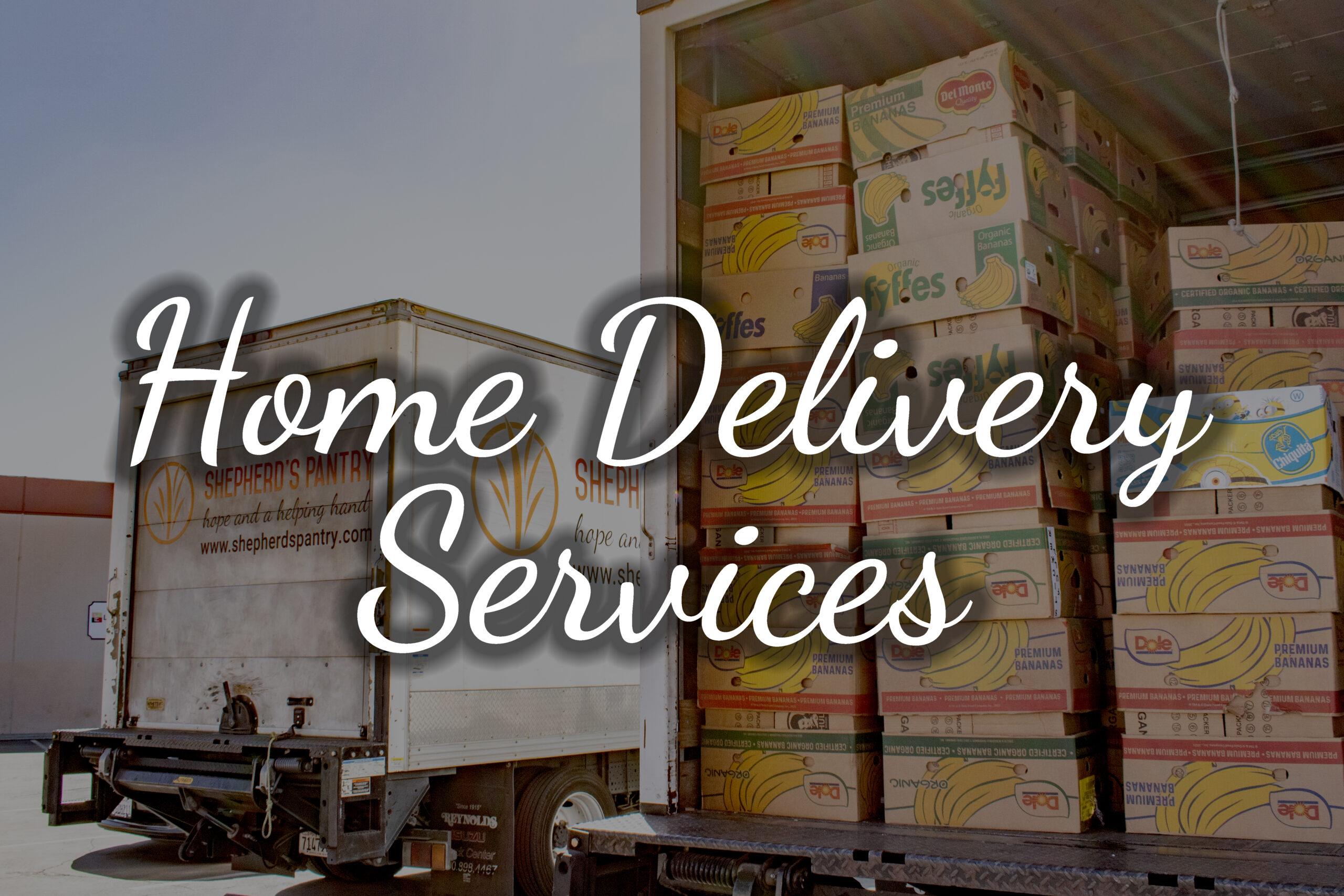Home Food Delivery Services