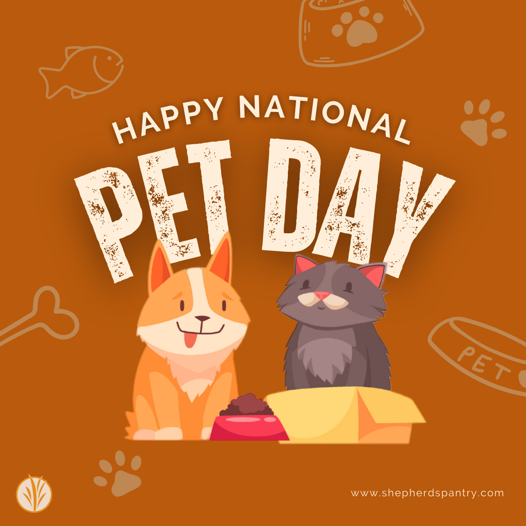 Happy National Pet Day!