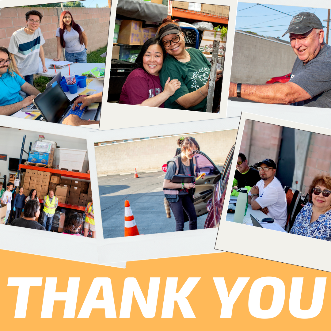 Thank You Volunteers!