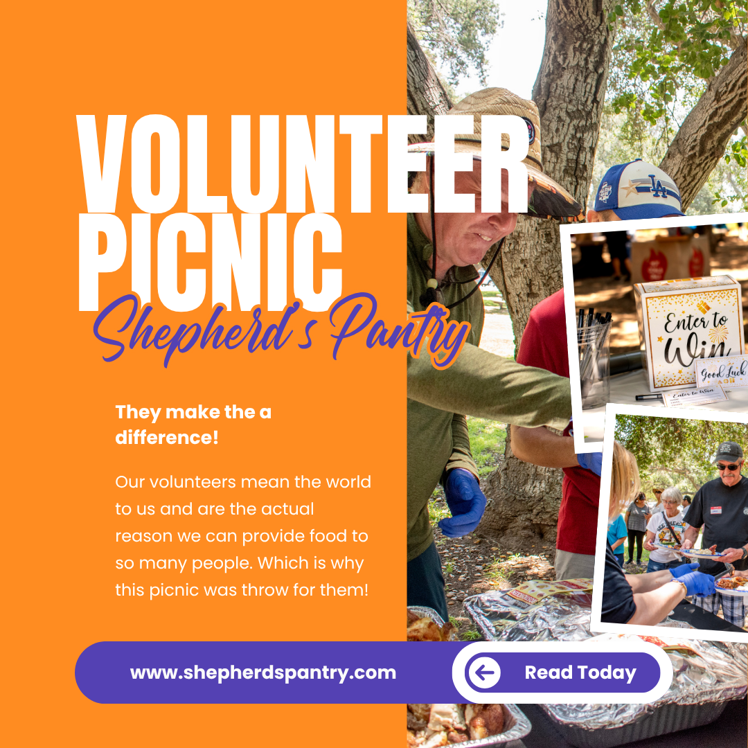 2025 Volunteer Picnic