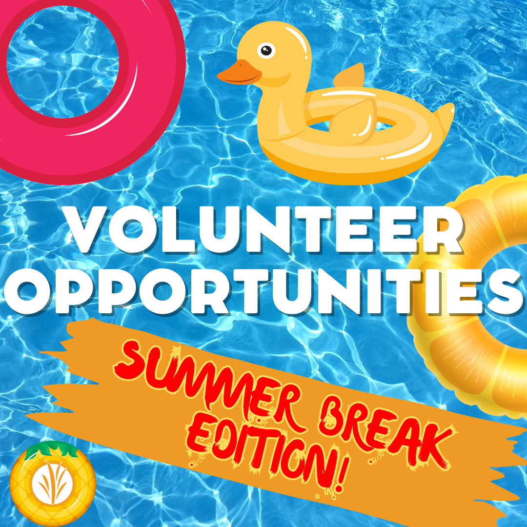 Summer Volunteer Opportunities